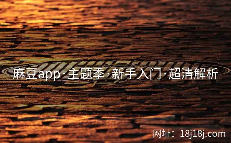 麻豆app·主题季·新手入门·超清解析