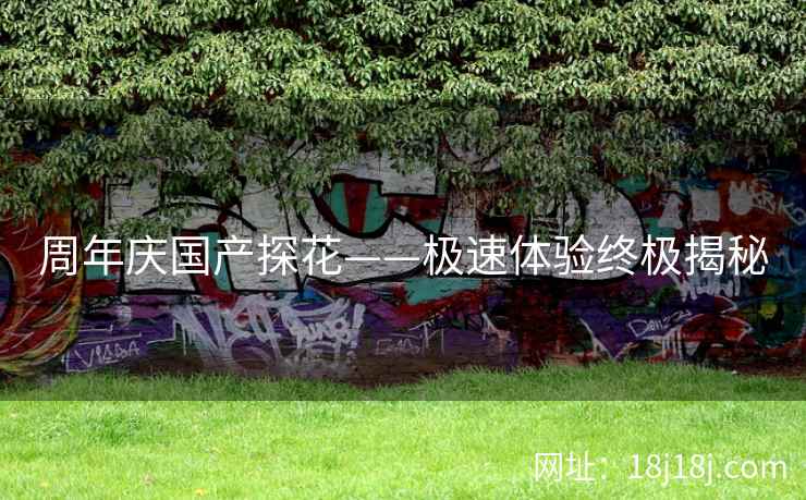 周年庆国产探花——极速体验终极揭秘