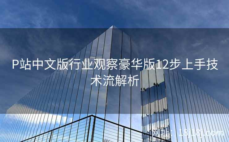 P站中文版行业观察豪华版12步上手技术流解析 P站中文版行业观察豪华版12步上手技术流解析