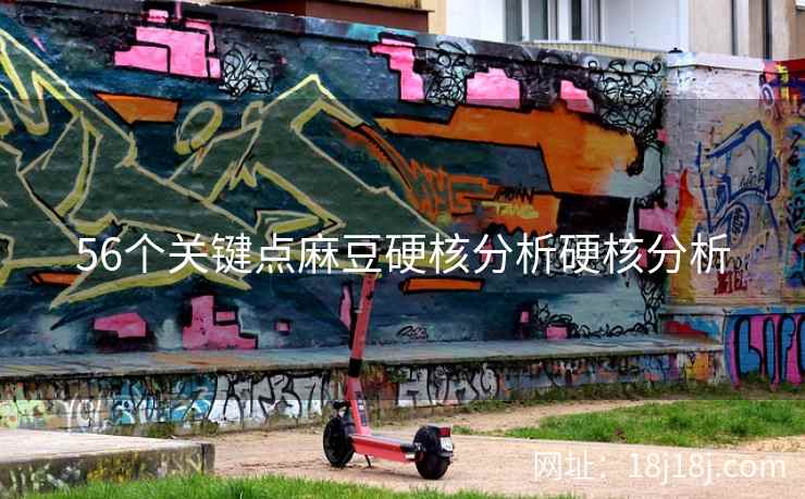 56个关键点麻豆硬核分析硬核分析 56个关键点麻豆硬核分析硬核分析
