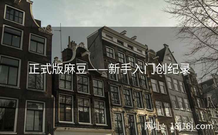 正式版麻豆——新手入门创纪录