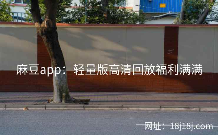 麻豆app：轻量版高清回放福利满满
