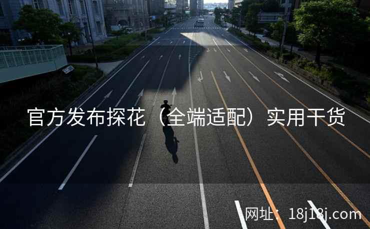 官方发布探花（全端适配）实用干货