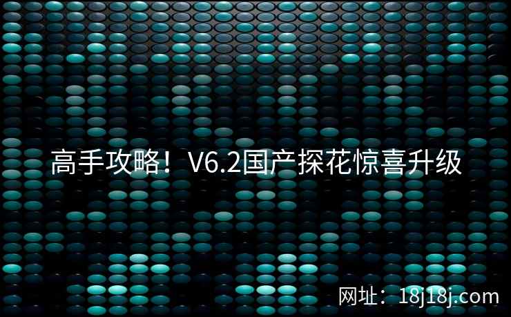 高手攻略!V6.2国产探花惊喜升级 高手攻略!V6.2国产探花惊喜升级