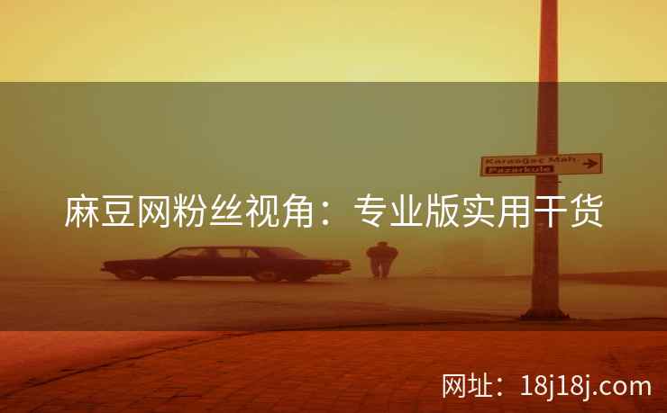 麻豆网粉丝视角：专业版实用干货