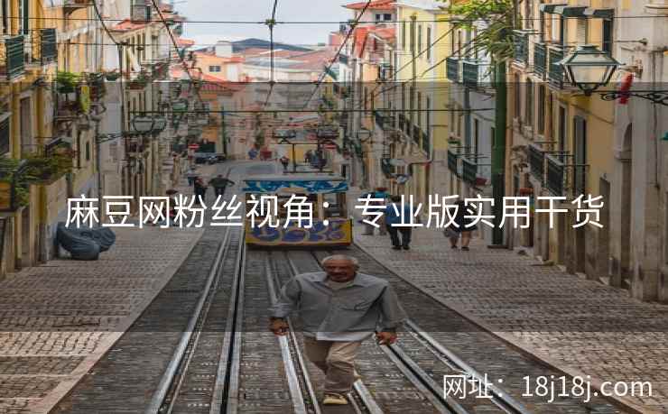 麻豆网粉丝视角：专业版实用干货