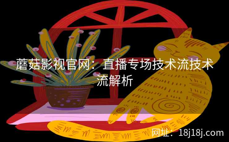 蘑菇影视官网：直播专场技术流技术流解析