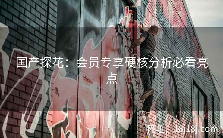 国产探花：会员专享硬核分析必看亮点